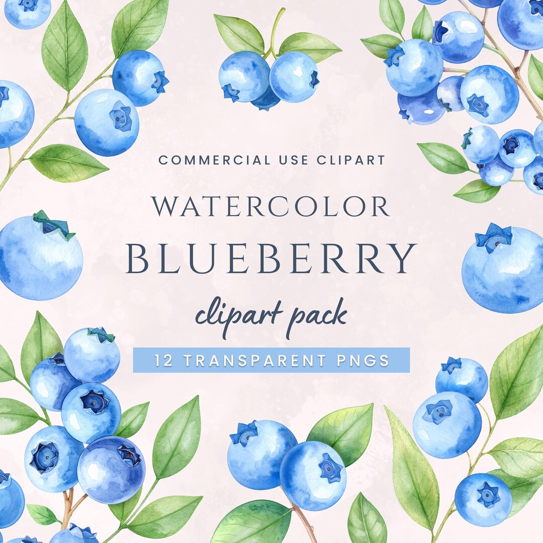 Blueberry Watercolor Clipart Pack Summer Fruit Clip Art Berry Graphics ...
