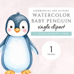 Lindo bebé pingüino Clipart acuarela PNG Imagen única Invierno Niños Gráfico Adorable Baby Shower Elemento Dibujos animados Animal Guardería Imprimible