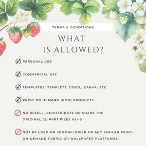May include: A digital art graphic with watercolor strawberries and blossoms. The text reads "Terms & Conditions" and "What Is Allowed?" with bullet points for personal and commercial use, templates, and print-on-demand products. Restrictions are also listed.