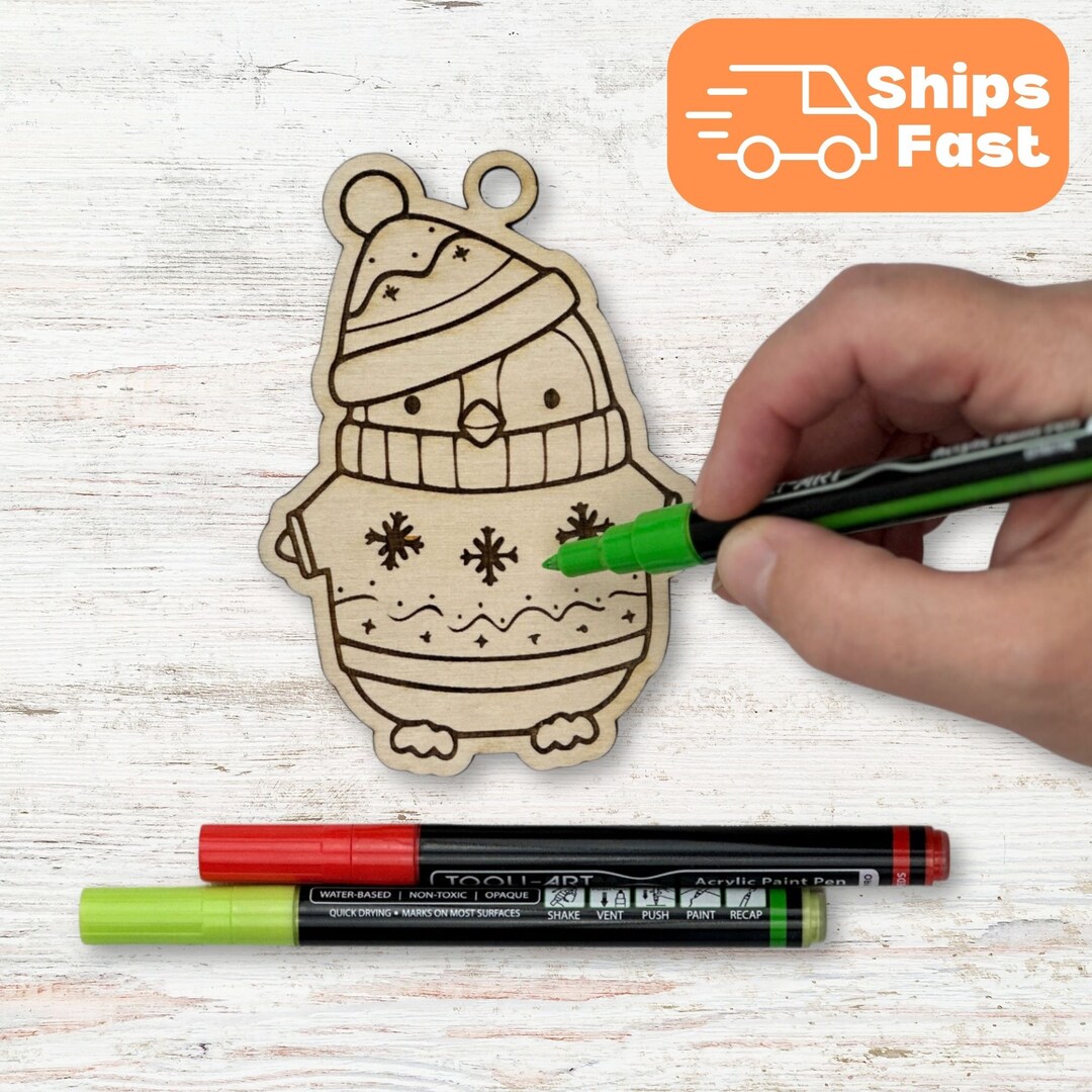 DIY Ornament Painting Kit With 6 Unique Holiday Designs, Craft Kit for