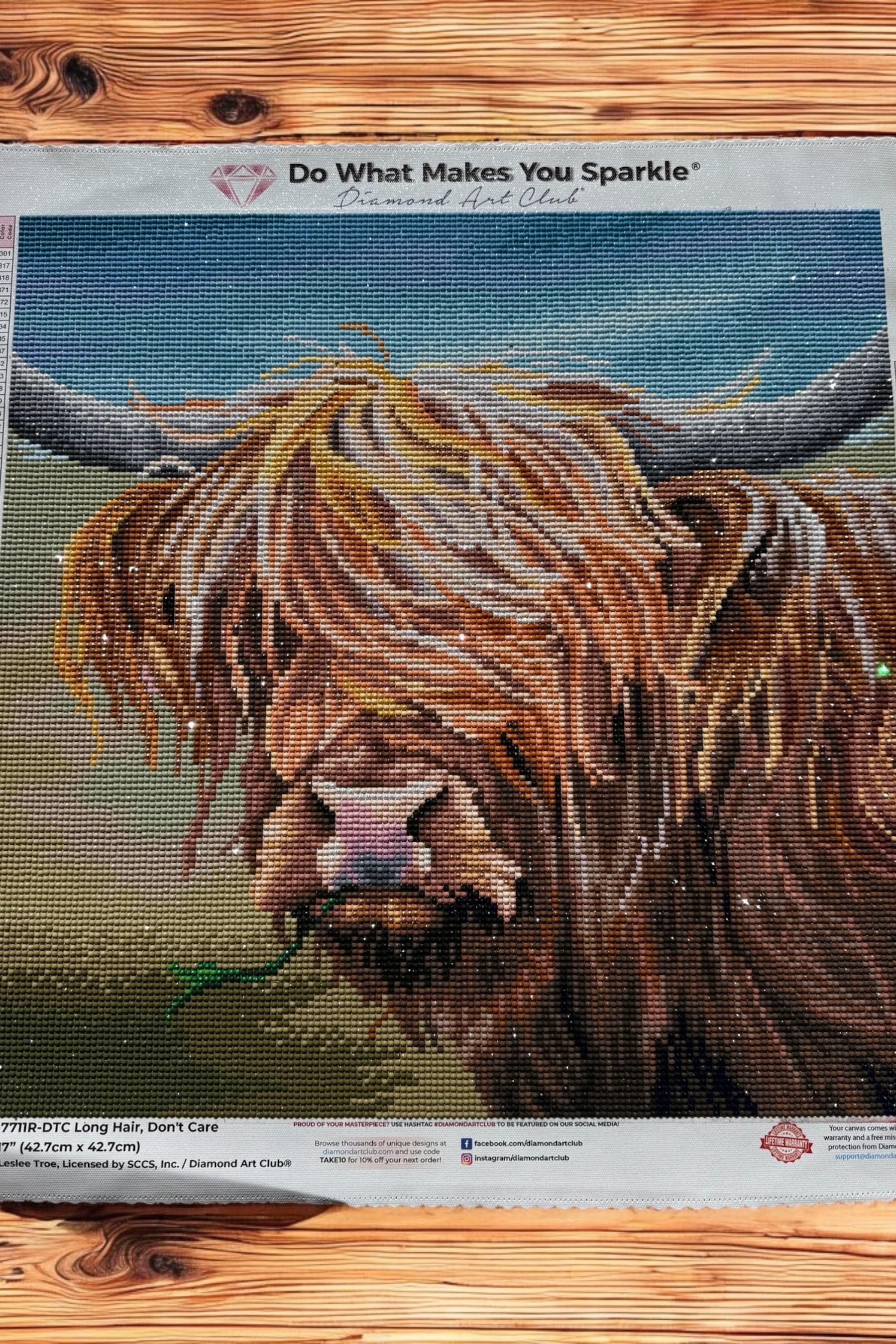 Diamond Painting Finished | Colorful Highland Cow | Cow Lover Gift | Diamond Painting Wall Art | Unframed | Cow Art | Farm Animal