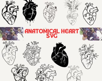 New Svg, Anatomy Svg, Anatomical Heart svg bundle, Flower Heart Svg, Human Heart Svg, Heart SVG, Medical Svg, Cut File For Cricut