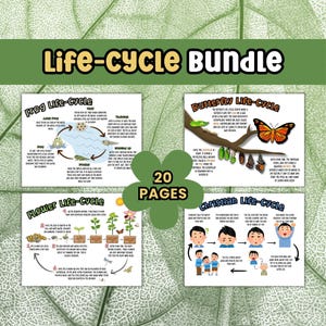 May include: A set of 20 colorful printable pages with illustrations depicting the life cycles of a frog, butterfly, flower, and a Christian life cycle. The pages are designed for educational purposes and feature bright colors and simple diagrams.