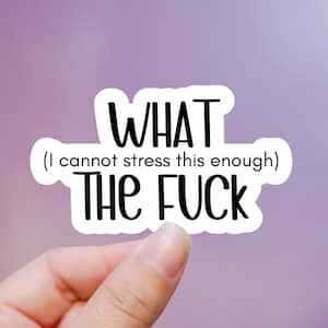 May include: A white sticker with the text "WHAT (I cannot stress this enough) THE FUCK" in black, held by a hand. The background is a gradient of purple and pink.