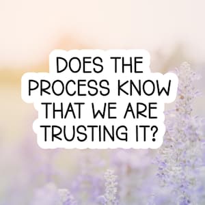 May include: A sticker with the text "DOES THE PROCESS KNOW THAT WE ARE TRUSTING IT?" against a blurred background of lavender flowers. The sticker has a white border and black text. The background has a soft, pastel color palette.