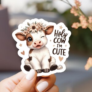 Holy Cow I&#39;m Cute Sticker, laptop sticker, kindle sticker, cute sticker, water resistant, vinyl sticker, cute cow sticker, water bottle