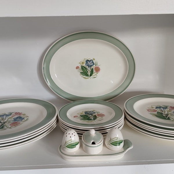 Quantity of Susie Cooper Gentian items. Dinner plates, Lunch plates, Side plates, salt and pepper and oval platter