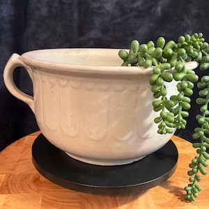 May include: A cream-colored ceramic planter with a handle, scalloped rim, and a trailing green succulent. The planter sits on a black base atop a wooden surface, with a dark blue background.