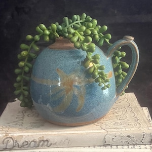 May include: A blue ceramic pitcher with a handle and a light brown glaze. The pitcher is filled with a green succulent plant.