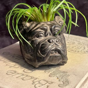 Rare antique bulldog - Etsy 日本