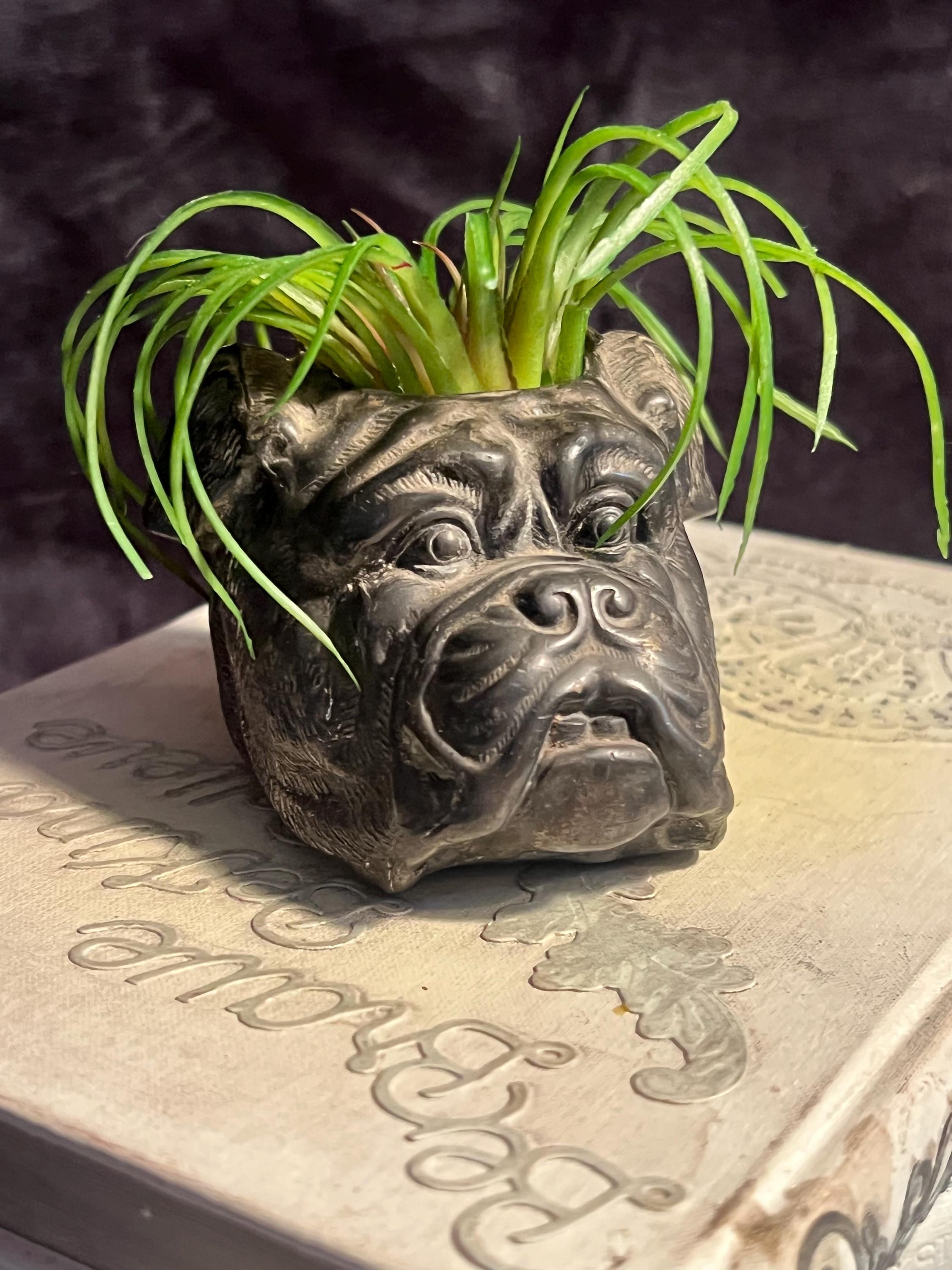 アクセサリー Gaboratory spike bulldog head large GABORATORY