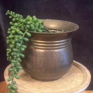 May include: A dark brown metal planter with a hammered finish, holding a green succulent plant. The planter is sitting on a light brown wooden pedestal.