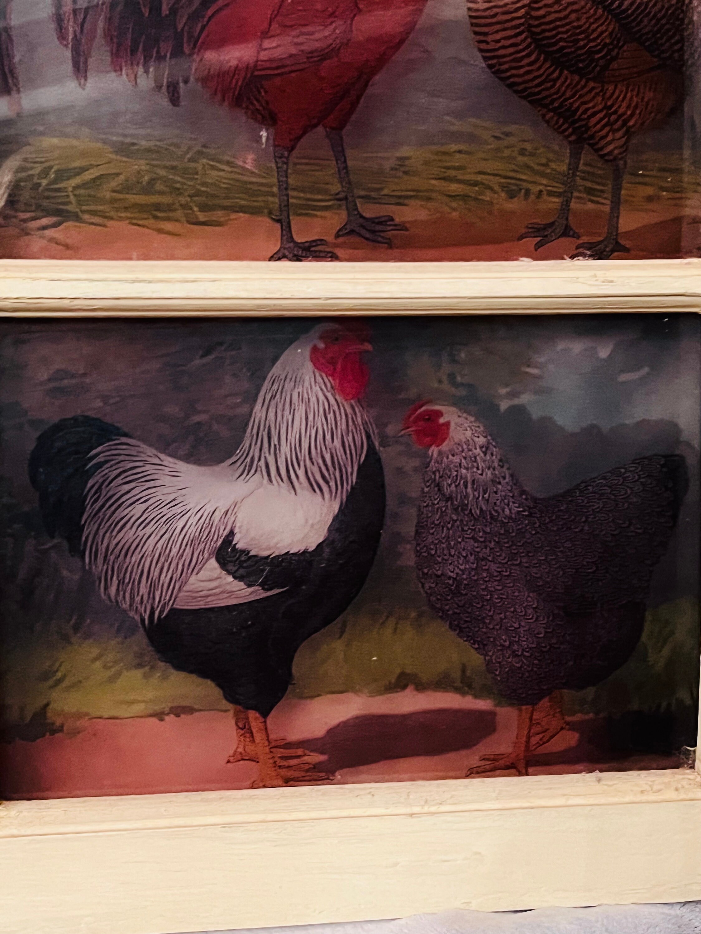 Repurposed Vintage 4 Pane Window With Chicken and Rooster Images ...