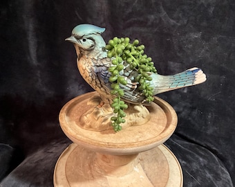 A Vintage 9 Inch Long Ceramic Blue Jay Bird Planter. Misc 1847 - Etsy