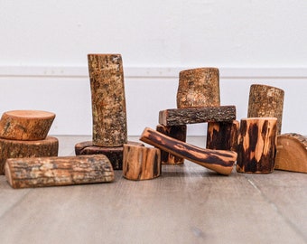 Natural Wood Building Blocks Set: Montessori Toy, Handmade Texas Tree Blocks