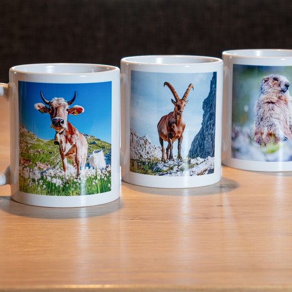 Ensemble de tasses, tasse, cadeau