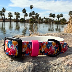 Collar para perros Foxes con estampado UV de biotano – Duradero y resistente al agua