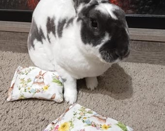 Small Pet Forage Pillow Flings