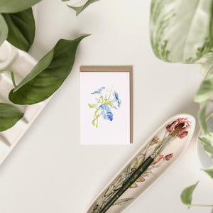 Morning Glory / Confezione da 6 mini carte disegnate a mano / progettate e illustrate dall'artista