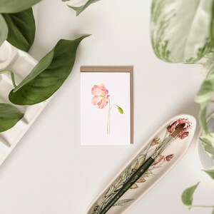 Papavero rosa / Confezione da 6 mini carte disegnate a mano / progettate e illustrate dall'artista