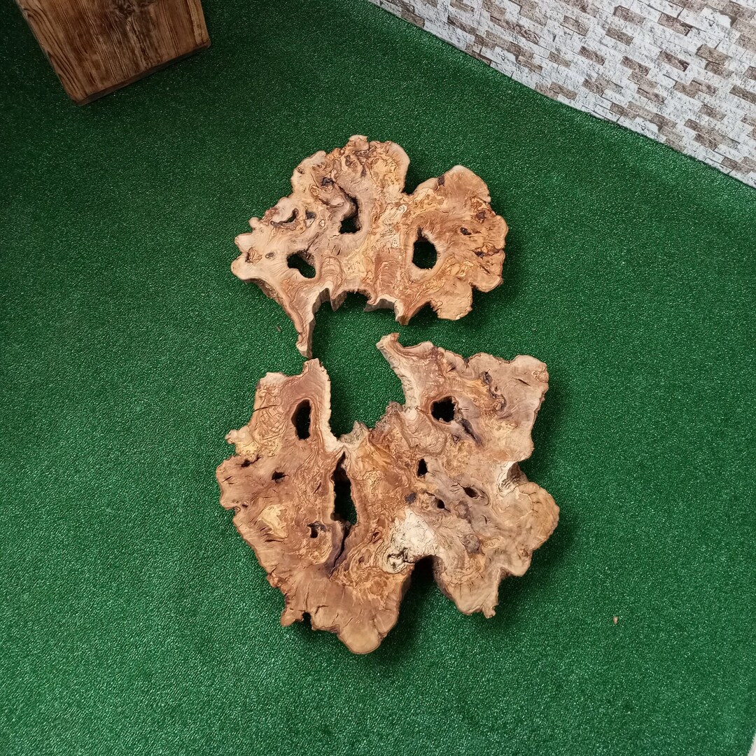 Big Size OLIVE Wood,live Edge Wood,olive Tree Slice,olive Wood,live Edge Slice,olive Slices