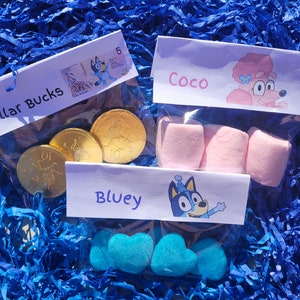 Bluey - Kids Party