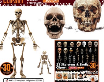 Halloween Skeletons & Skulls Clipart – Pack of 30 PNGs + PDF + 7 BONUS IMAGES