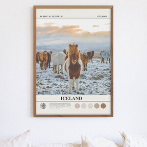 Op de afbeelding: Een ingelijste poster met een foto van IJslandse paarden in een besneeuwd veld. De poster bevat een kompas, de tekst "IJsland" en een kleurenpalet in beige, bruin en wit.