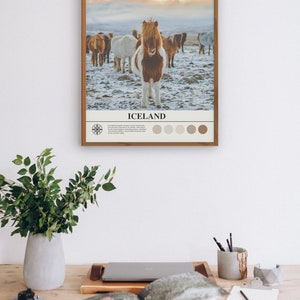 Op de afbeelding: Een minimalistische poster met een bruine houten lijst met een foto van een kudde IJslandse paarden in een besneeuwd veld. De poster heeft de tekst "IJsland" en co&ouml;rdinaten "64.9841&deg; N, 18.1059&deg; W" bovenaan. De poster bevat ook een kompasroos en een kleurenpalet.