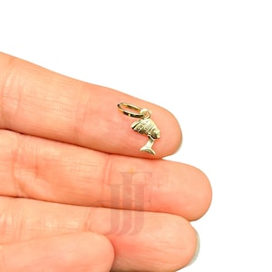 Nefertiti 3D-hanger 14k geelgouden mini Egyptische godin hanger sierlijke Nefertiti massief gouden koningin bedel hanger kleine Egyptische koningin bedel