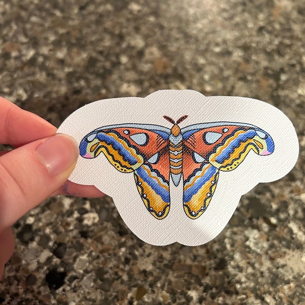 Vinyl Sticker, Waterproof, Scratch Resistant, Original Bug and Insect Illustration, Atlas Moth, Canvas Textured, 3x3 inches, 1 sticker