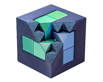 3D-geprinte burr-puzzel voor volwassenen - puzzel van 40 stappen, harde mechanische hersenkraker - deskundige logische spelletjes en puzzels op niveau Unieke afstudeercadeaus