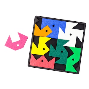Packningspussel av PuzzleguyStore - 3D-utskrivet svårt pussel för vuxna - Geometriskt pussel, knepigt hjärngymnastik, bästa soffbordsspelen