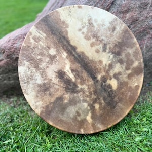 May include: A round, natural-toned drum with a mottled surface of browns and tans. The drum is set against a backdrop of green grass and a large, reddish-brown rock, suggesting an outdoor setting.