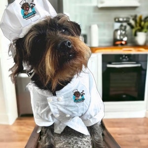 Friandises gastronomiques entièrement naturelles pour chiens fabriquées à la main Biscuits faits maison et sains pour chiots avec des ingrédients naturels image 1