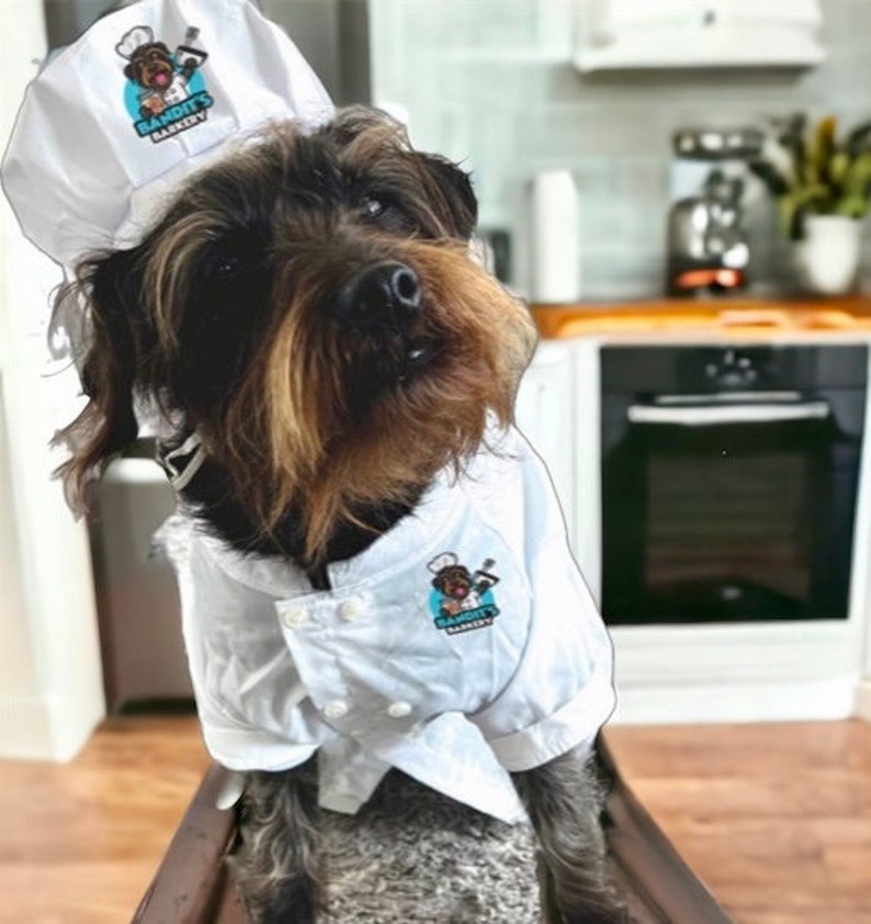 Friandises gastronomiques entièrement naturelles pour chiens fabriquées à la main Biscuits faits maison et sains pour chiots avec des ingrédients naturels image 1