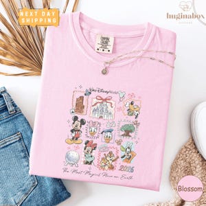 a pink t-shirt with a Disney World-themed design, including various Disney characters and landmarks. The t-shirt is displayed on a white background, along with a pair of jeans and a necklace. There is also a pink blouse and a beige scarf visible in the image.
