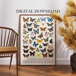 May include: A rectangular wall poster titled BUTTERFLIES OF THE WORLD featuring a grid of various colorful butterfly illustrations on a white background, framed in wood, with the text DIGITAL DOWNLOAD displayed above the print.