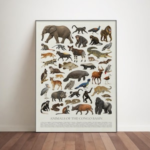 May include: A framed poster featuring a collection of illustrations of animals native to the Congo Basin. The poster includes an elephant, monkeys, a crocodile, and a gorilla, among other species. The title "ANIMALS OF THE CONGO BASIN" is at the bottom.
