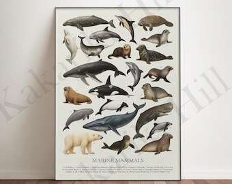 May include: A framed educational poster titled MARINE MAMMALS featuring twenty-one numbered illustrations of various sea creatures including whales, dolphins, seals, a walrus, an otter, and a polar bear against a light cream background.