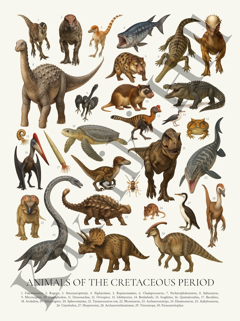 Animals of the Cretaceous Period Poster: Retro Identification Chart - Etsy