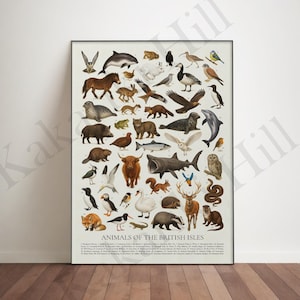 May include: A vertical poster titled Animals of the British Isles featuring a detailed collection of various wildlife illustrations including a dolphin, seal, badger, red deer, fox, and numerous bird species, all arranged with numbered labels.