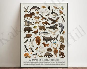 May include: A vertical wall poster titled Animals of the British Isles featuring a numbered collection of detailed illustrations of various wildlife including birds, mammals, fish, and reptiles arranged on a light cream background with a black frame.