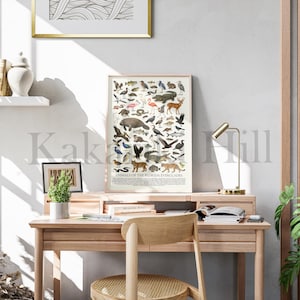 May include: A vertical rectangular poster titled Animals of the Florida Everglades featuring a detailed collection of various wildlife illustrations including a manatee, alligator, deer, and birds, displayed in a light wood frame on a wooden desk.