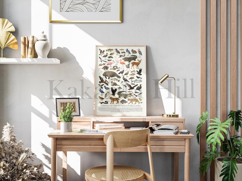 May include: A vertical rectangular poster titled Animals of the Florida Everglades featuring a detailed collection of various wildlife illustrations including a manatee, alligator, deer, and birds, displayed in a light wood frame on a wooden desk.