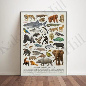 Może przedstawiać: Pionowy plakat edukacyjny zatytułowany ENDANGERED ANIMALS, zawierający kolekcję szczegółowych ilustracji różnych gatunków dzikich zwierząt, w tym tygrysa, rekina wielorybiego, goryla i słonia, ponumerowanych z listą poniżej.