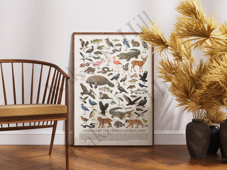 May include: A rectangular wall poster titled ANIMALS OF THE FLORIDA EVERGLADES featuring a detailed collection of various wildlife illustrations including birds, mammals, reptiles, and fish arranged on a cream background with descriptive text below.