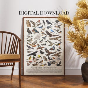 May include: A rectangular poster titled Native Birds of Washington featuring numerous detailed illustrations of various bird species in flight and perched positions, with a numbered legend at the bottom and the text DIGITAL DOWNLOAD above.