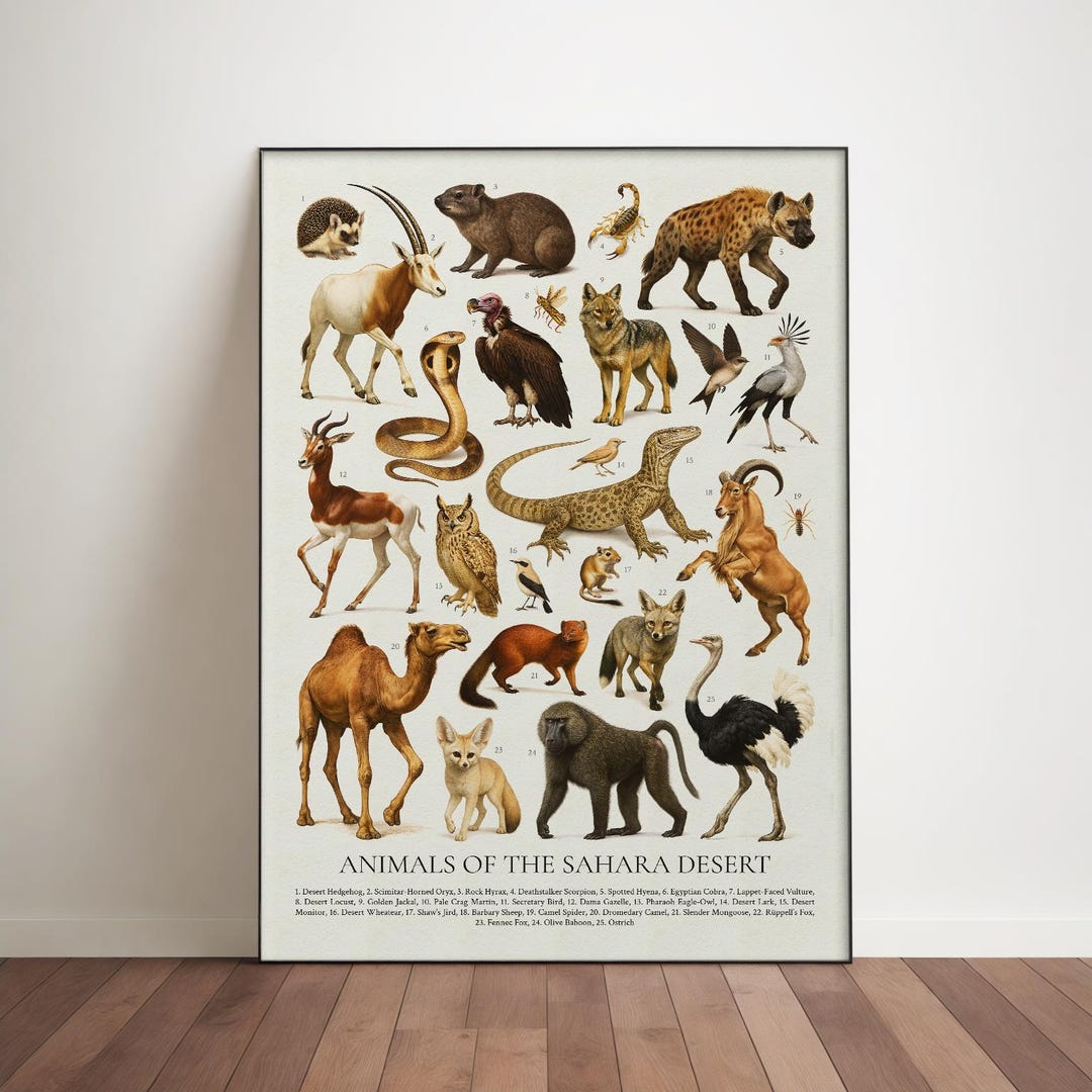 Sahara Desert Animals Poster: Retro Educational Print - Etsy