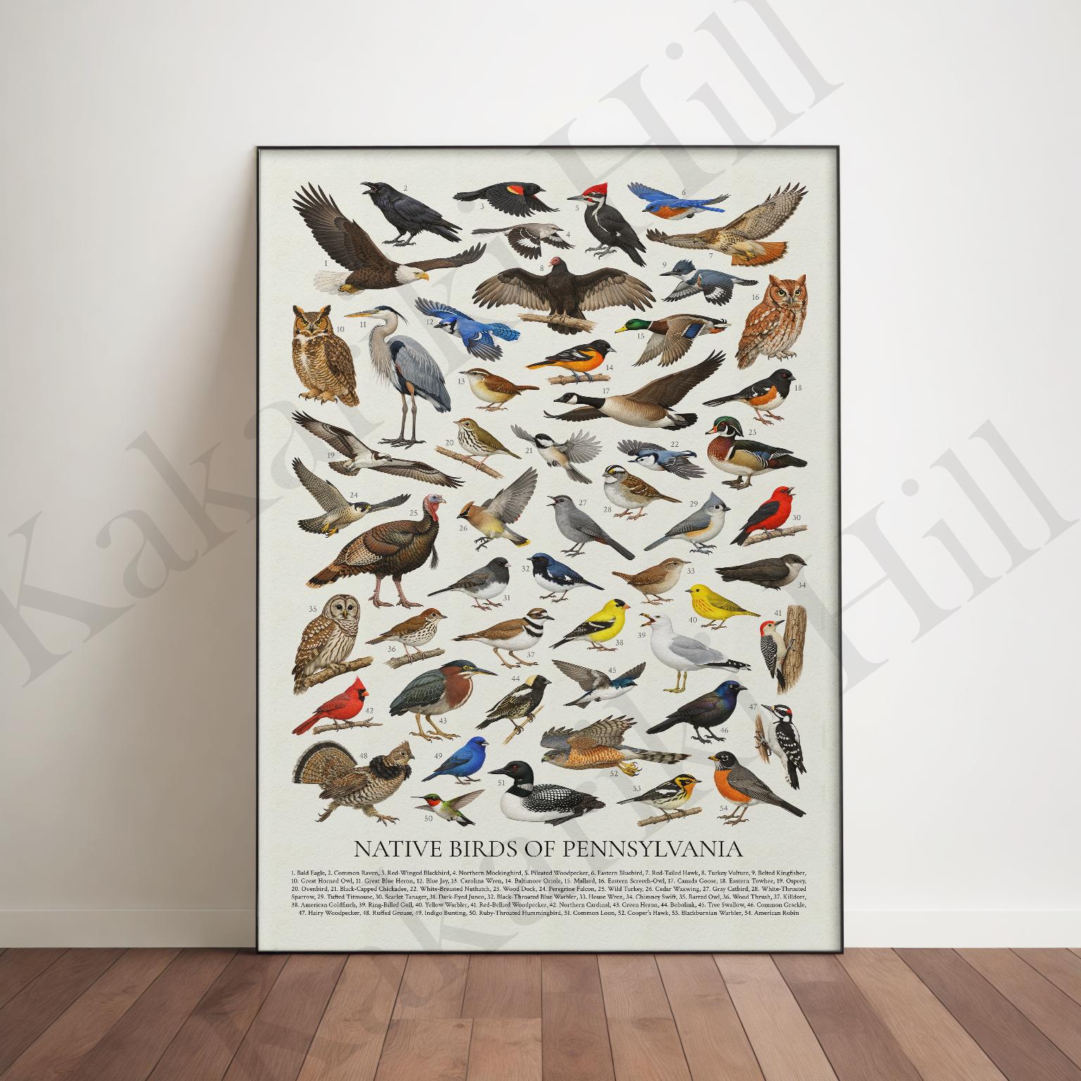 Native Birds of Pennsylvania Poster: Educational Wildlife